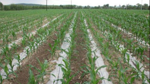 0dcc9a72-c10f-4857-8dbc-948985a1cefb.jpg 0dcc9a72-c10f-4857-8dbc-948985a1cefb.jpg